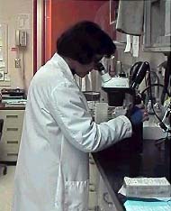 Imagen de Ergonoma en el uso del microscopio
