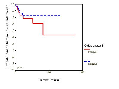 Imagen de Anlisis inmunohistoqumico de la expresin tumoral de Colagenasa-3 (MMP-13) en el melanoma cutneo maligno.