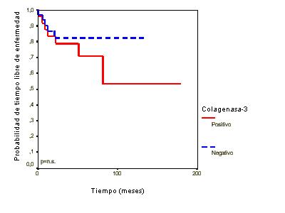 Imagen de Anlisis inmunohistoqumico de la expresin tumoral de Colagenasa-3 (MMP-13) en el melanoma cutneo maligno.