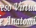 VI Congreso Virtual Hispanoamericano de Anatomía Patológica