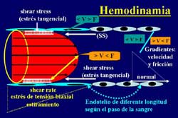 Click para ver imagen ampliada...