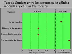 Click para ver imagen ampliada...