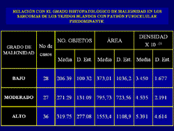 Click para ver imagen ampliada...