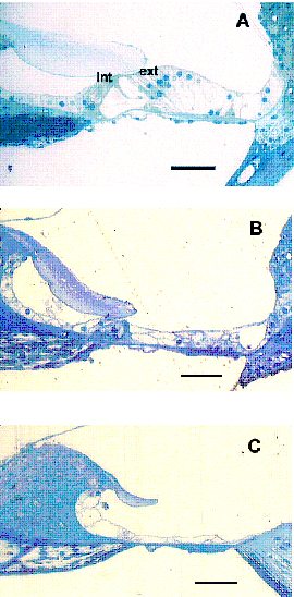 Fig. 3 - <div style=