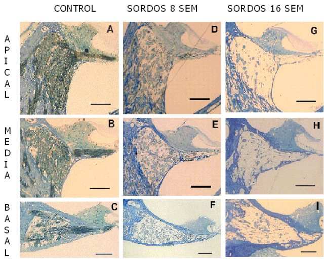 Fig. 4 - <div style=