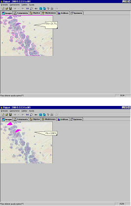 Fig. 1 - <div style=