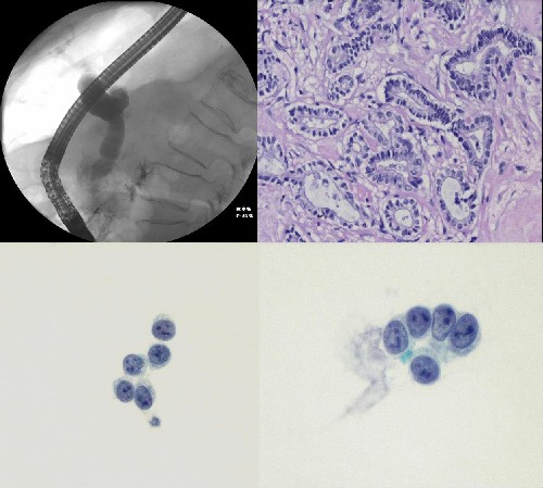 Fig.6 - <div style=