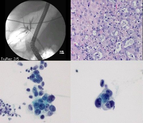 Fig.7 - <div style=