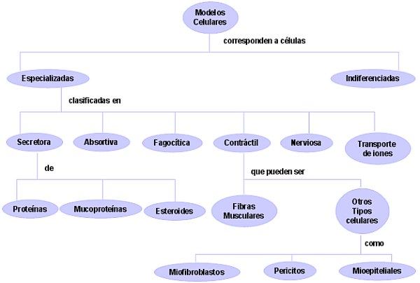 Fig. 7 - <div style=