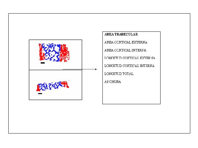 Figura 2 - <div style=