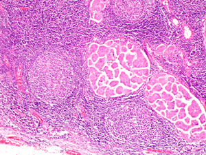 FIG.3 - <div style=