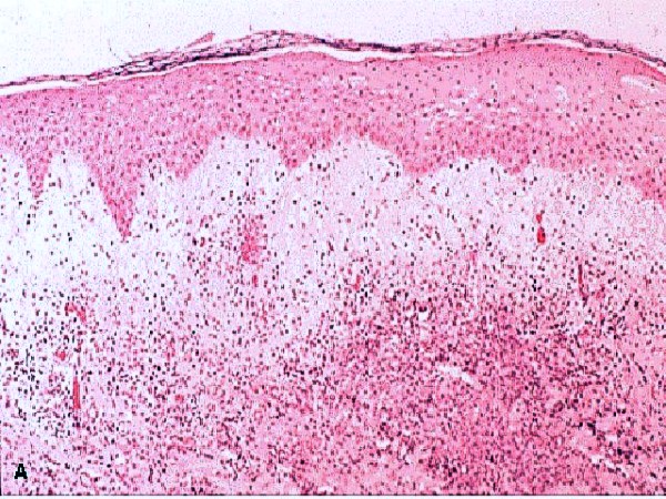 Fig.3 - <div style=