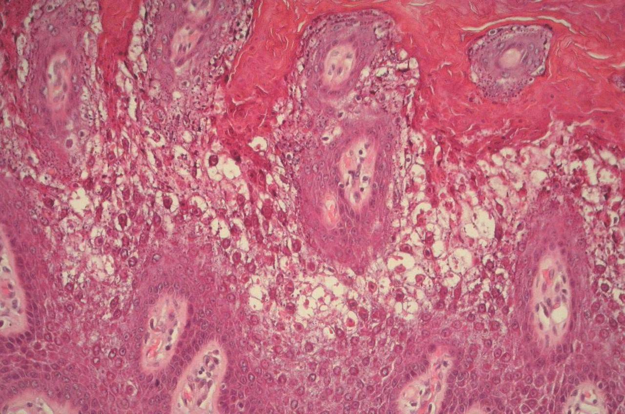 Fig. 7 - <div style=