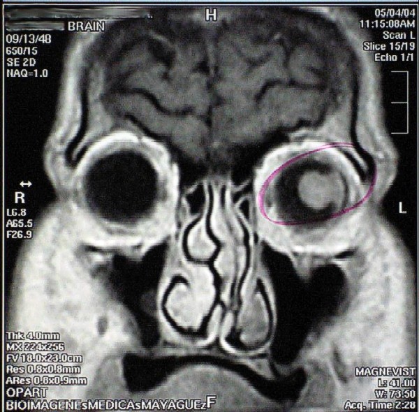 Fig.3 - <div style=