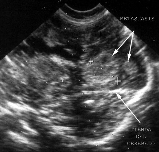 Fig.2 - <div style=