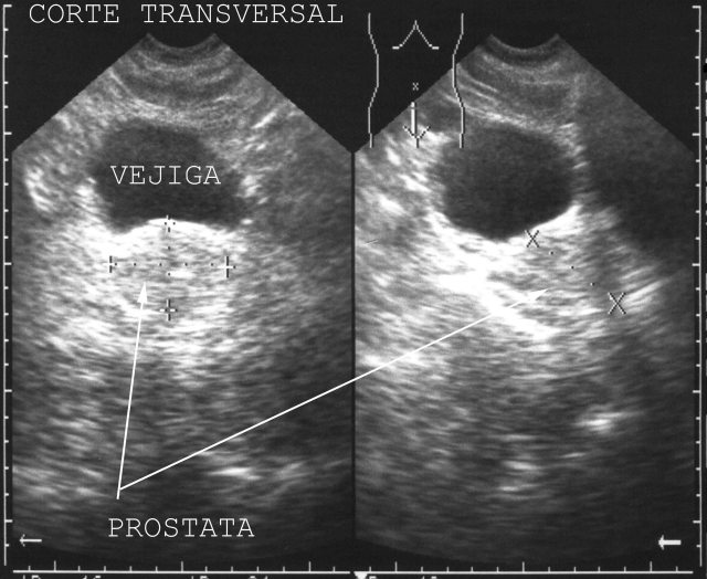 Fig.49 - <div style=