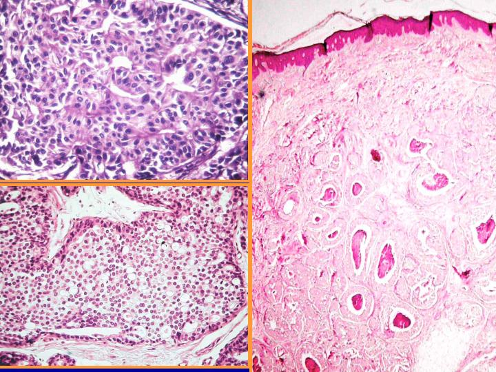 diapositiva55 - <div style=