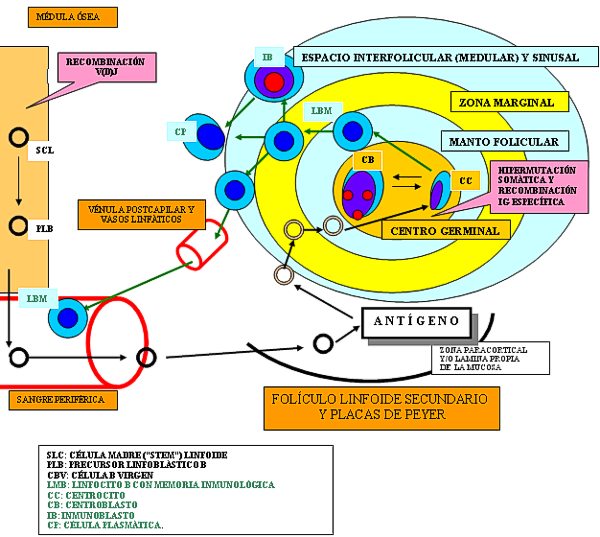 Esquema 1 - <div style=