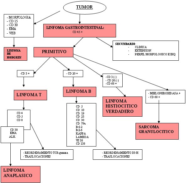 Esquema 2 - <div style=