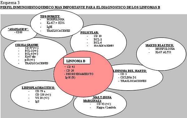 Esquema 3 - <div style=