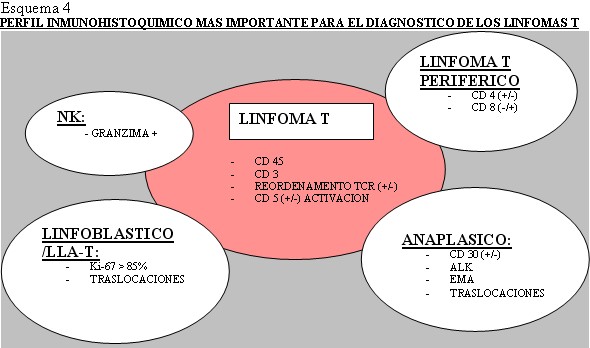 Esquema 4 - <div style=