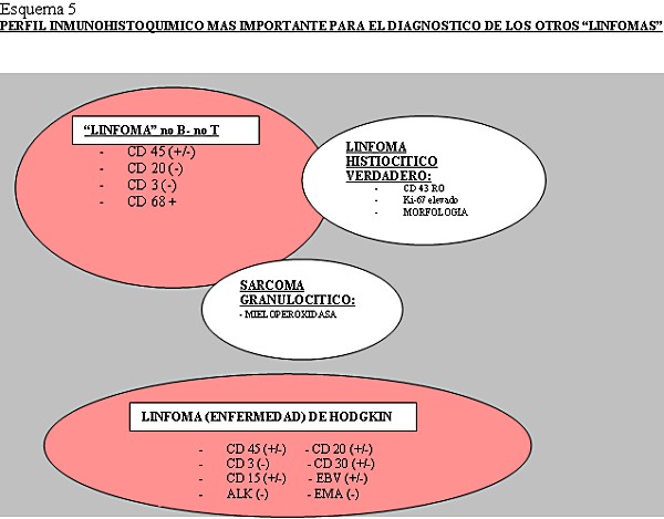 Esquema 5 - <div style=