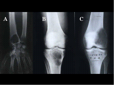 Fig-4 - <div style=