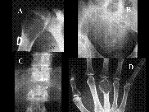 Fig-5 - <div style=