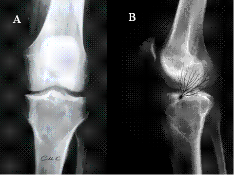 Fig-6 - <div style=