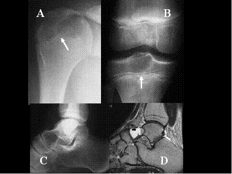 Fig-14 - <div style=