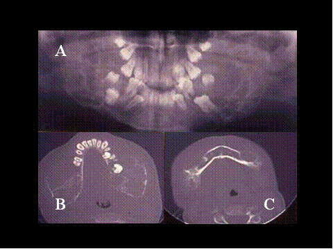 Fig-20 - <div style=