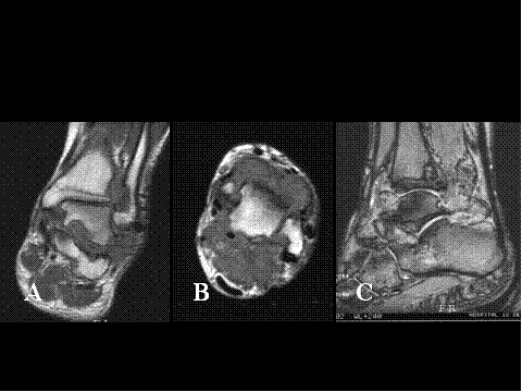 Fig-25 - <div style=