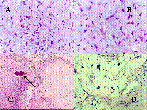 Fig-36 - <div style=