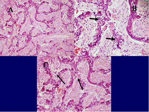 Fig-45 - <div style=