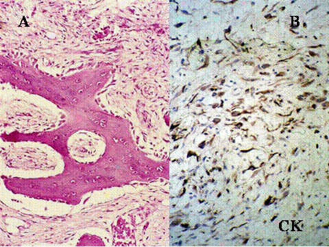 Fig-48 - <div style=