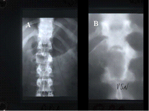 Fig-52 - <div style=