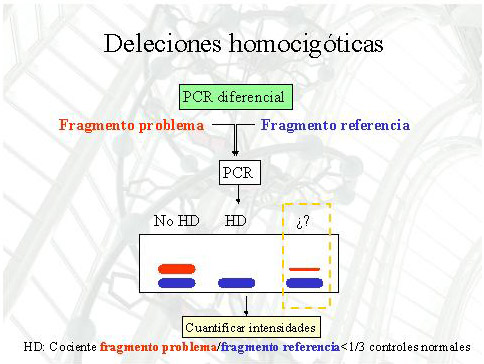 Figuras 6 - <div style=