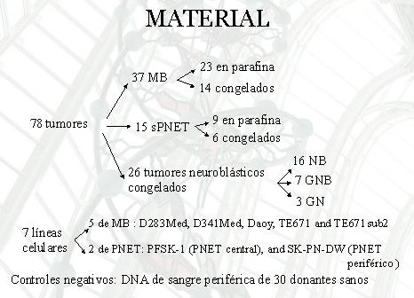 Figura 1 - <div style=