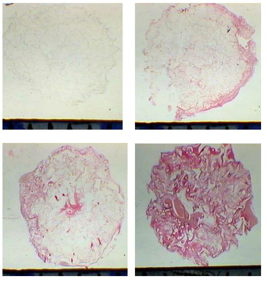 Fig2 - <div style=