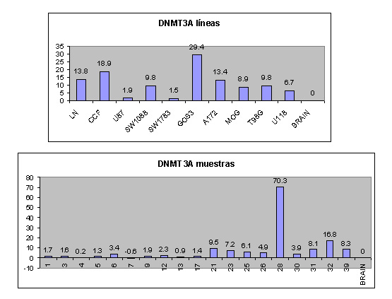 Figura 2 - Resultados de expresin obtenidos en lneas celulares y muestras tumorales de astrocitoma para el gene DNMT3A (BRAIN: RNA de cerebro sano).