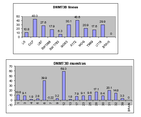 Figura 3 - Resultados de expresin obtenidos  en lneas celulares y muestras tumorales de astrocitoma para el gene DNMT3B (BRAIN: RNA de cerebro sano).