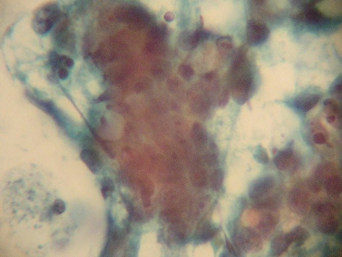 Fig. 12 - <div style=