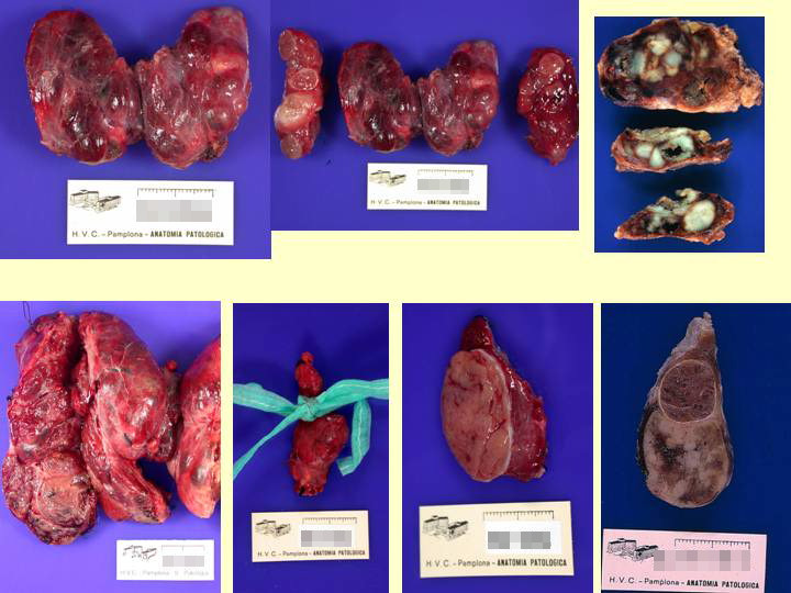 fig. 2 - <div style=