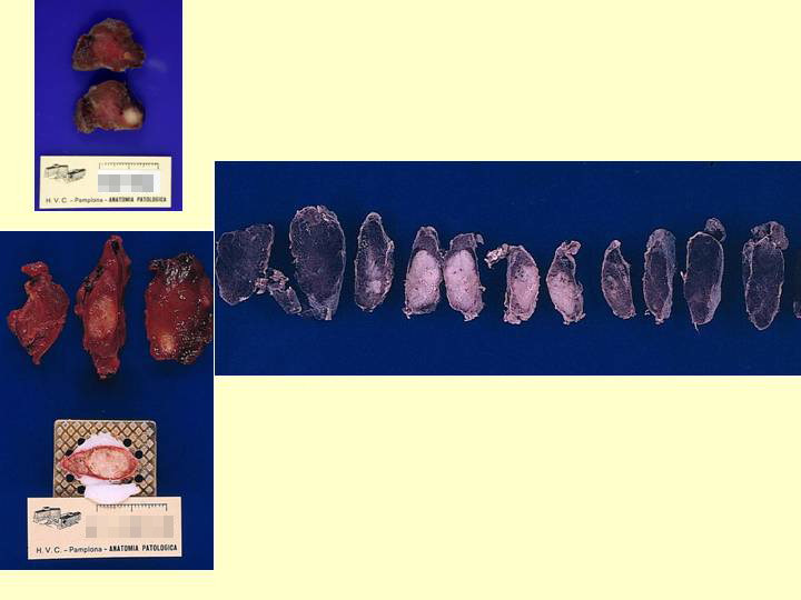 fig. 7 - <div style=