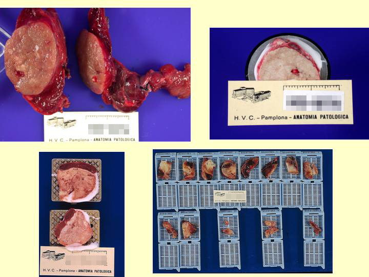 fig. 9 - <div style=