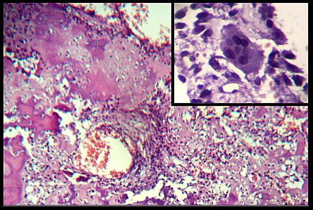 fig.6 - <div style=