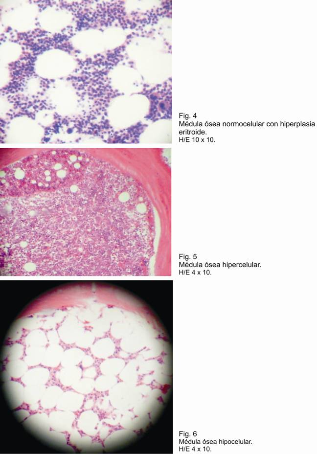 Fig 4, 5, 6. - <div style=