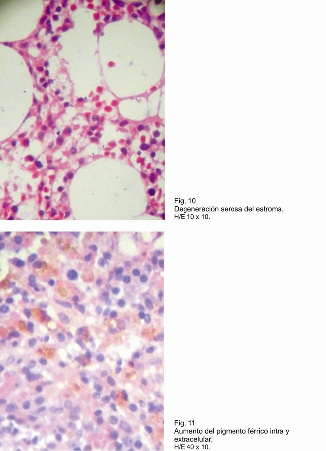 Fig 10, 11. - <div style=