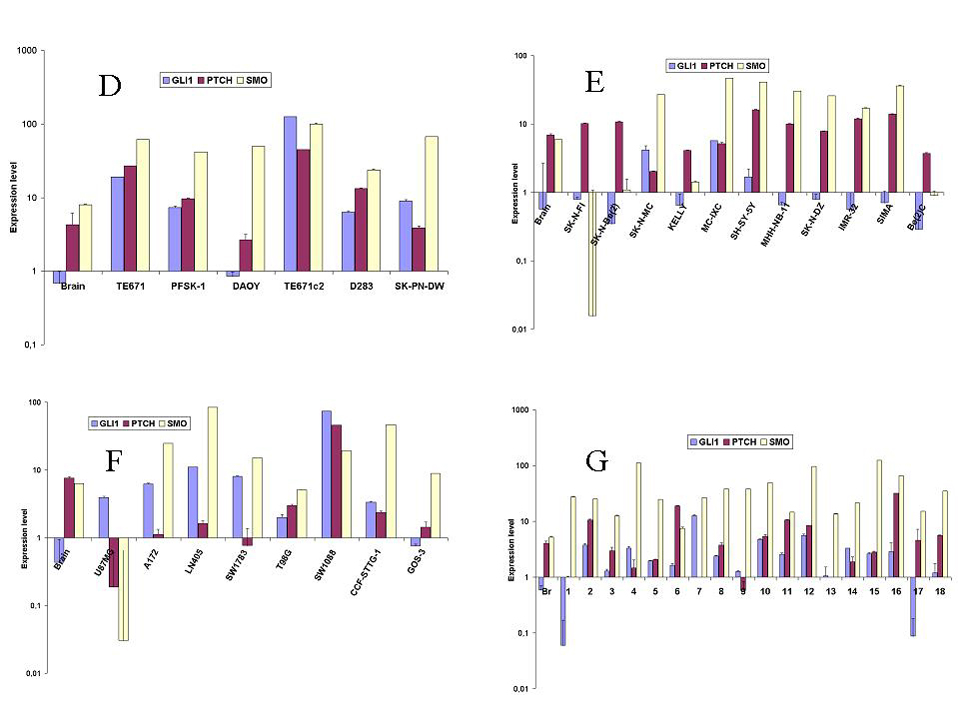 Figura 1-continuacion - Expresin de RNA comparativa de PTCH, SMO y GLI1 determinada mediante RT-PCR standard (A-C) y qRT-PCR (D-G). M: meduloblastoma, N: neuroblastoma, G: glioblastoma, L: RNA de pulmn, Br: RNA normal de cerebro adulto, NTC: control sin DNA, Mr: 1 Kb Plus DNA ladder (Invitrogen Life Technologies, Carlsbad, CA).