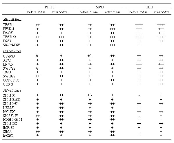 Tabla 3 - Expresin de PTCH, SMO y GLI3 en lneas celulares de meduloblastoma, glioblastoma y neuroblastoma, antes y despus de los tratamientos con 5-aza-2-deoxicitidina y TSA.
MB: meduloblastoma, GB: glioblastoma, NB: neuroblastoma. 
-: no se expresa, +/-: no se presenta un nivel claro de expresin, + a ++++: diferentes niveles de expresin.
